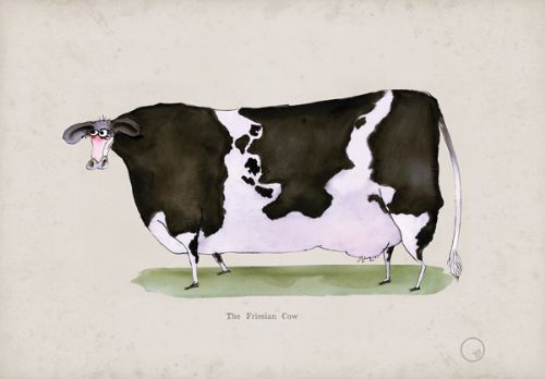 The Friesian Cow, fun heritage art print by Tony Fernandes